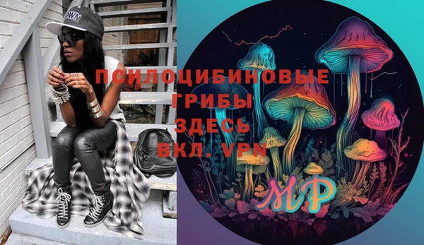 герыч Алексин
