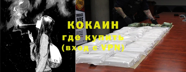 крисы Абаза