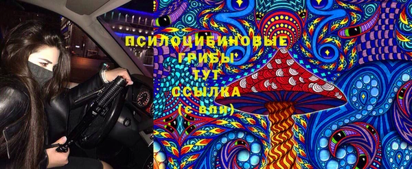 герыч Алексин