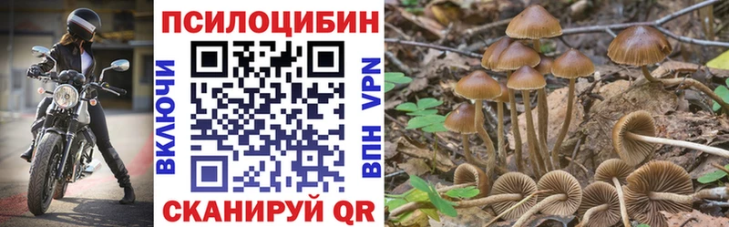Галлюциногенные грибы MAGIC MUSHROOMS наркота Обоянь